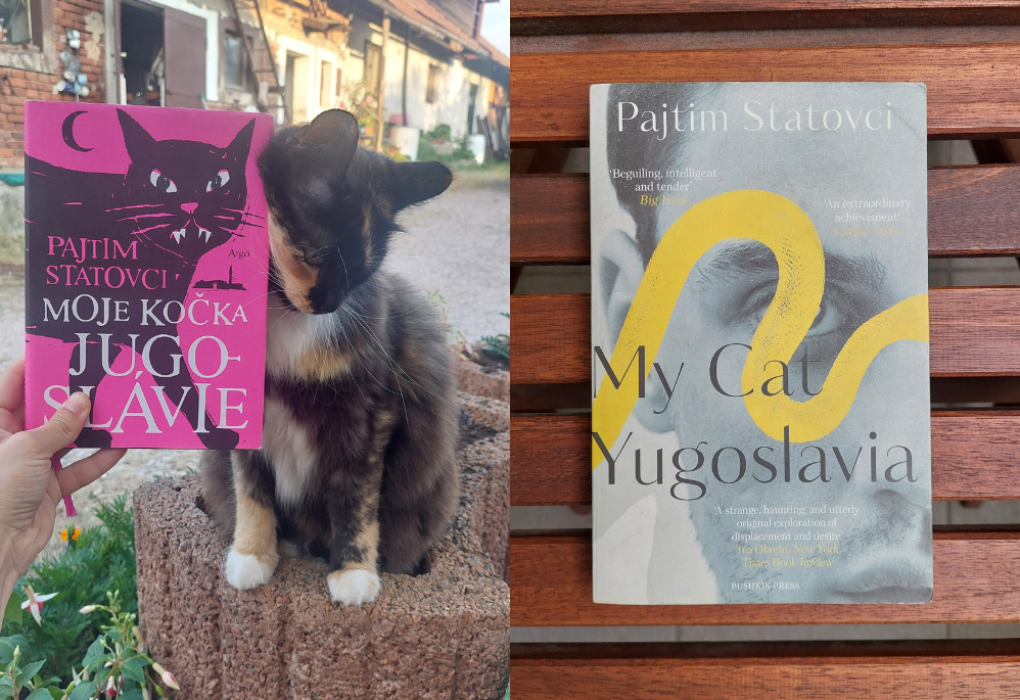 Pajtim Statovci: Moje kočka Jugoslávie / My Cat Yugoslavia